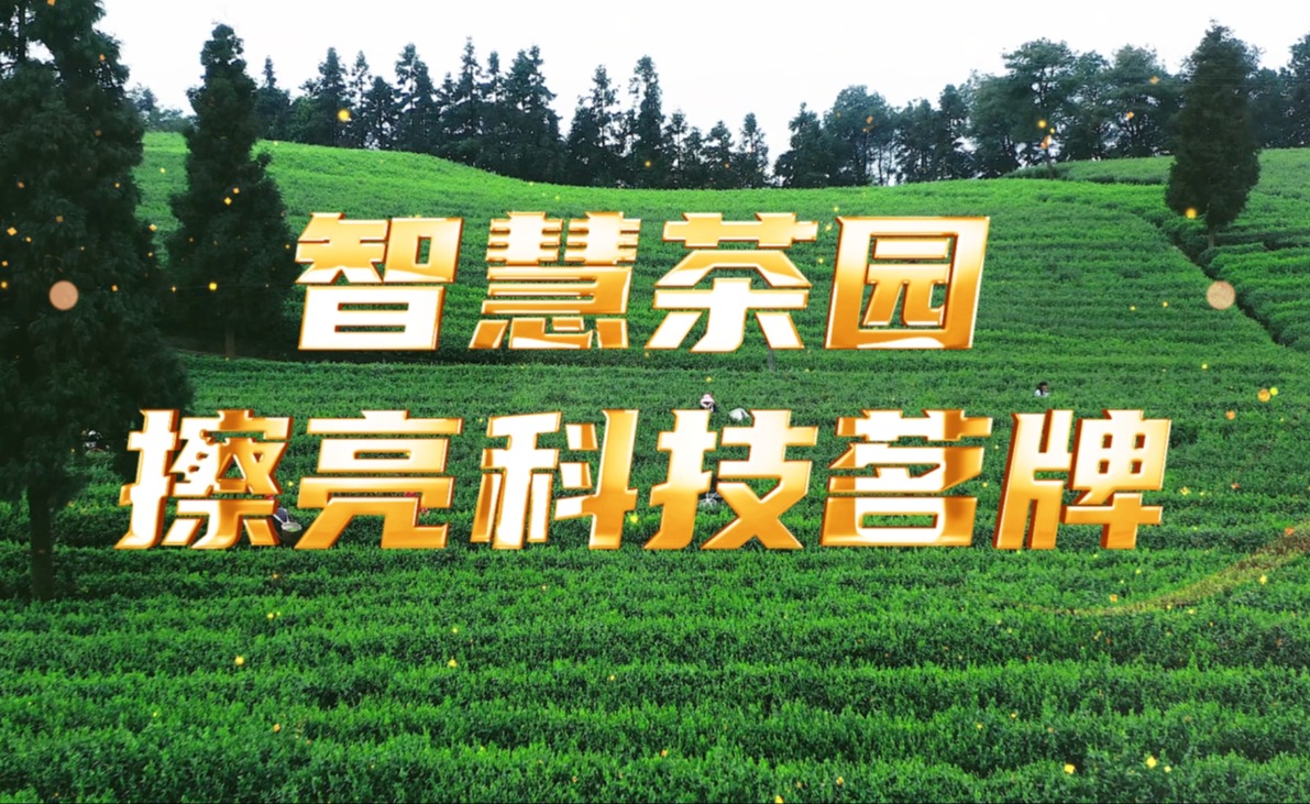 今年會jinnianhui智慧茶園，擦亮科技茗牌